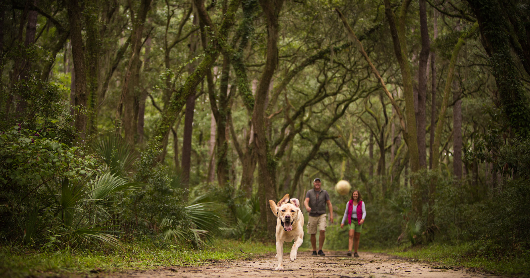Dog-walk--couple