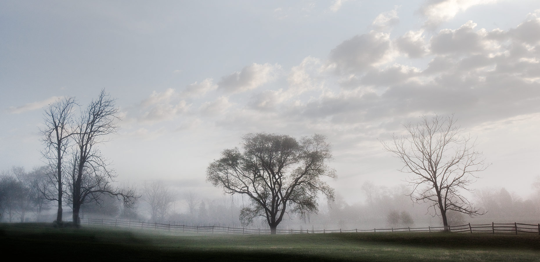 Trees, pasture, meadow, clouds